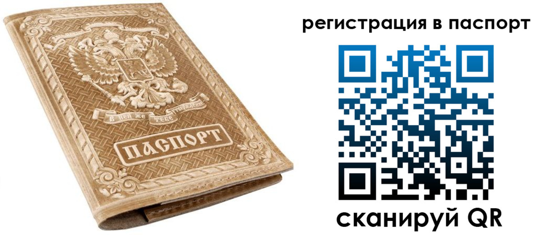 прописка в Железногорске